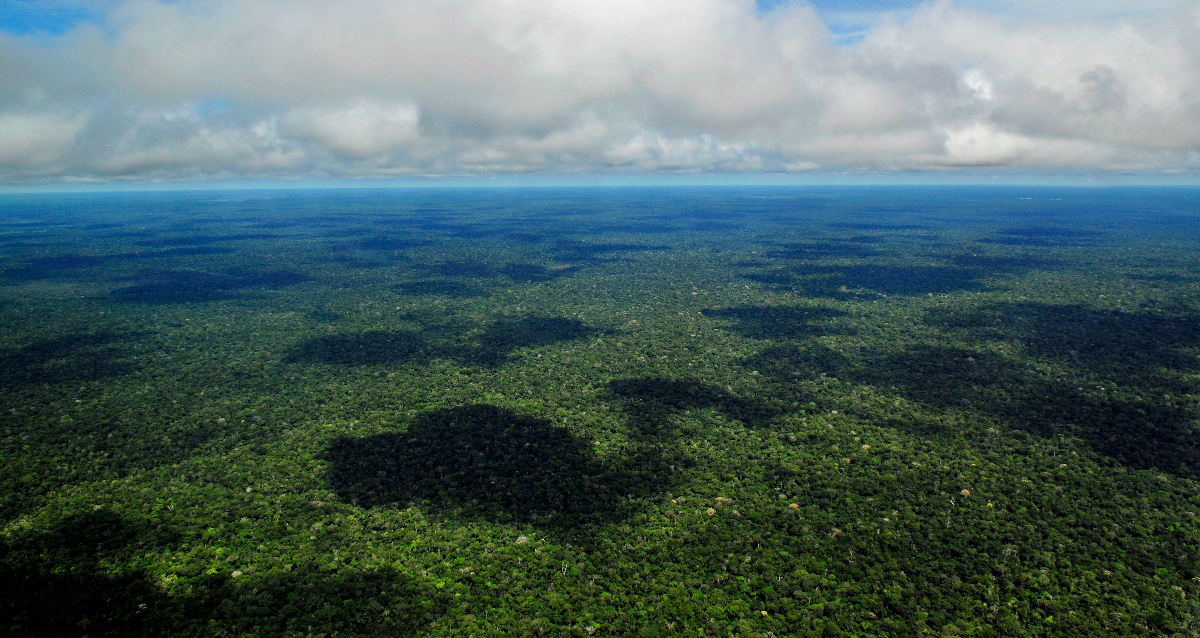 Measuring the Amazon’s biodiversity | Hopebuilding