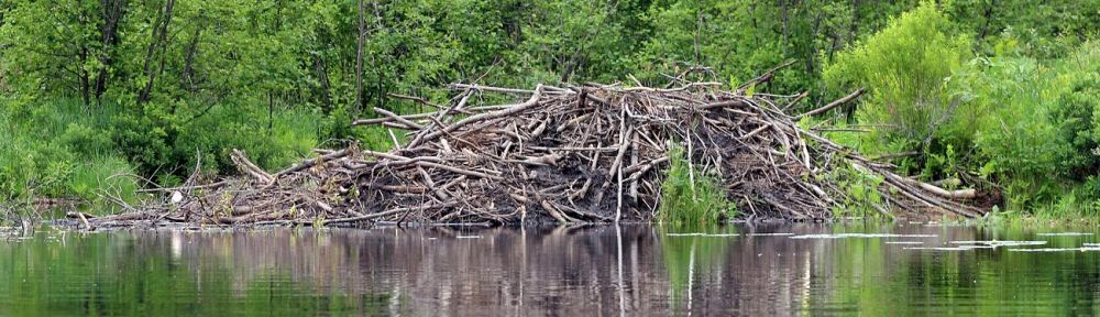Beaver Lodge