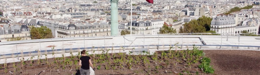 Urban agriculture is growing in Paris, cultivating biodiversity, social cohesion, human adventure and inventing new economic models. Photo by Parisculteurs.
