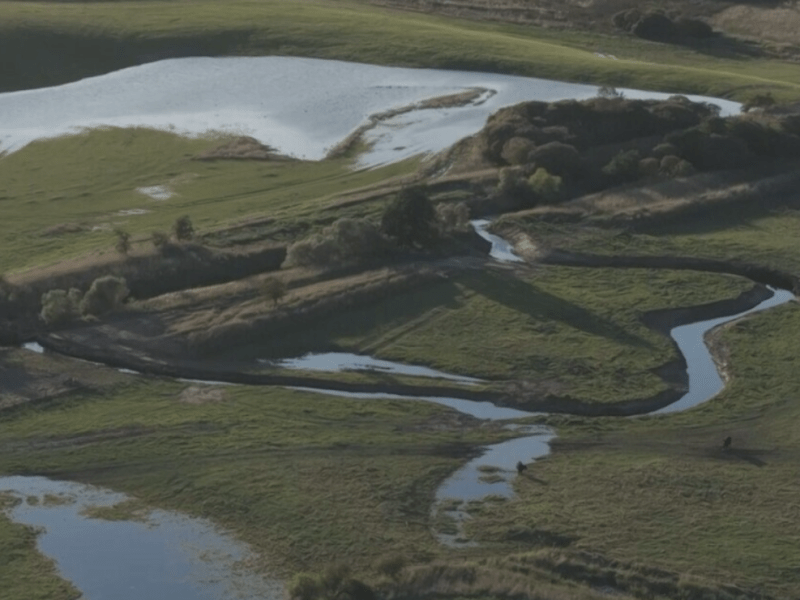 Bringing an English river back to&nbsp;life