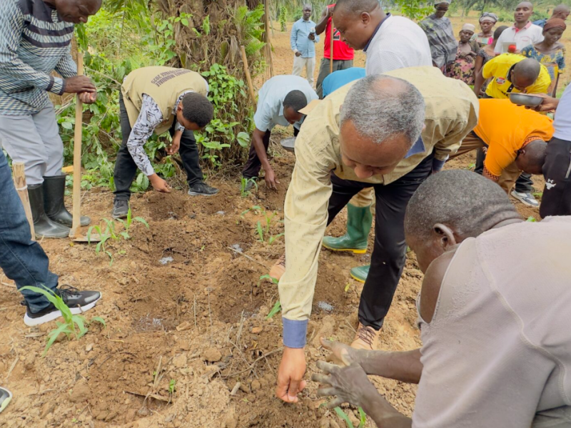 When a problem becomes an&nbsp;opportunity….