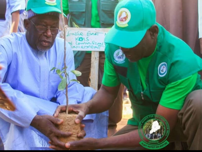 An orchard fights climate&nbsp;change