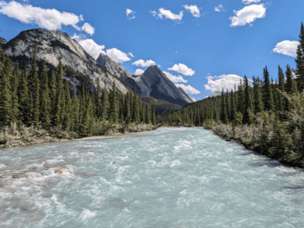 Yellowstone to Yukon is an Earthshots&nbsp;finalist
