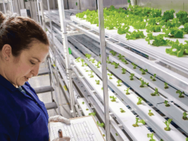 Growcer wins Governor General’s Innovation&nbsp;Award